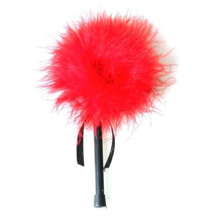 Votre Loveshop à Bierne (53) Plume Caresse