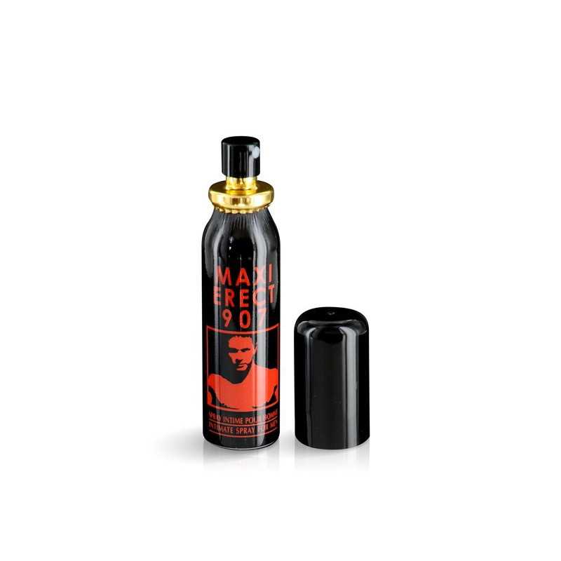 Votre Loveshop à Bierne (53) Maxi Erect