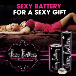 Votre Loveshop à Bierne (53) Sexy Battery X 4