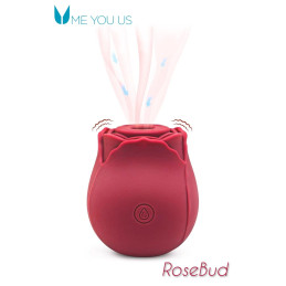 Votre Loveshop à Bierne (53) Bouton de Rose