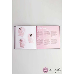 Votre Loveshop à Bierne (53) 69 Kamasutra Livre