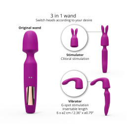 Votre Loveshop à Bierne (53) R-Evolution Wand + 2