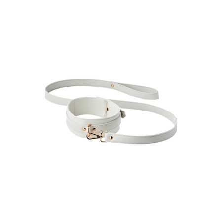 Votre Loveshop à Bierne (53) Collier Et Laisse
