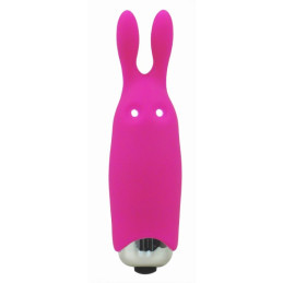 Votre Loveshop à Bierne (53) Bunny Pocket Vibe