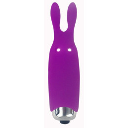 Votre Loveshop à Bierne (53) Bunny Pocket Vibe