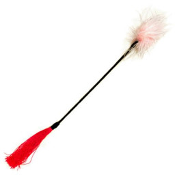 Votre Loveshop à Bierne (53) Fouet Latex et