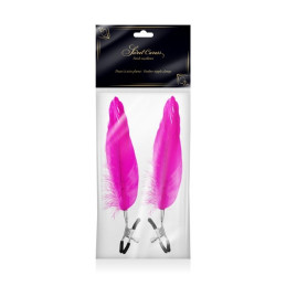 Votre Loveshop à Bierne (53) Pinces à Seins Plume