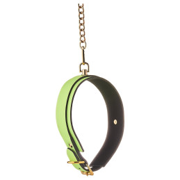 Votre Loveshop à Bierne (53) Collier Et Laisse