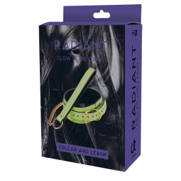 Votre Loveshop à Bierne (53) Collier Et Laisse