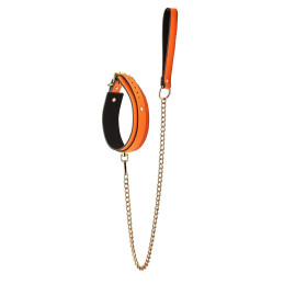 Votre Loveshop à Bierne (53) Collier Et Laisse