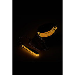 Votre Loveshop à Bierne (53) Collier Et Laisse