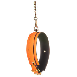 Votre Loveshop à Bierne (53) Collier Et Laisse