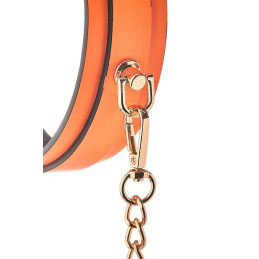 Votre Loveshop à Bierne (53) Collier Et Laisse