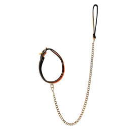 Votre Loveshop à Bierne (53) Collier Et Laisse