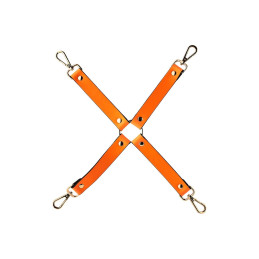 Votre Loveshop à Bierne (53) Sangle Croix Pour