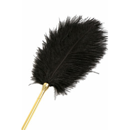 Votre Loveshop à Bierne (53) Martinet Ou Plume
