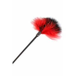 Votre Loveshop à Bierne (53) Cravache Plume