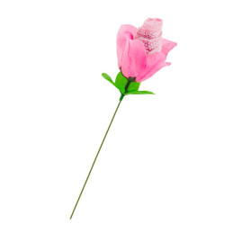 Votre Loveshop à Bierne (53) Une rose slip