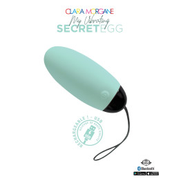 Votre Loveshop à Bierne (53) My Vibrating Secret