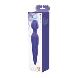 Votre Loveshop à Bierne (53) Antony Wand vibrant