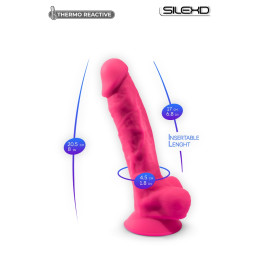 Votre Loveshop à Bierne (53) Gode Ventouse