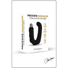 Votre Loveshop à Bierne (53) Prostate Massager Votre Loveshop à Bierne (53) Prostate Massager